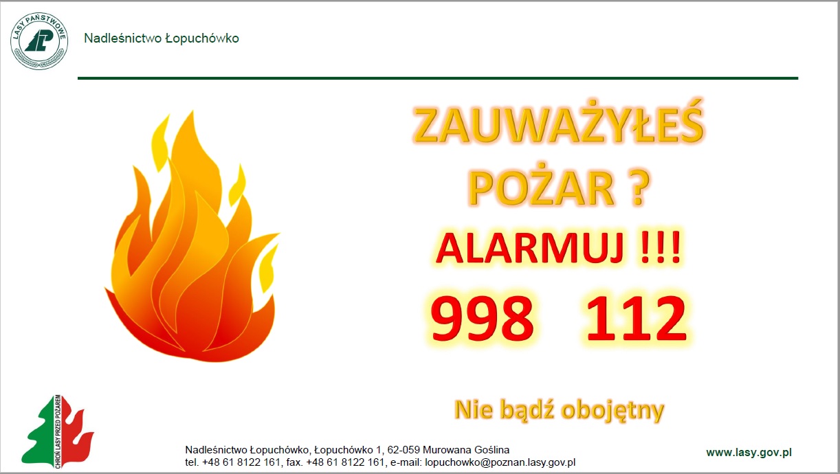 Zdjęcie przedstawia infografikę "Zauważyłeś pożar? Alarmuj!"